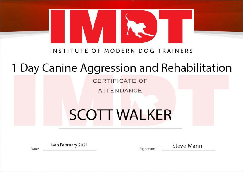 IMDT - Canine Aggression & Rehabilitation