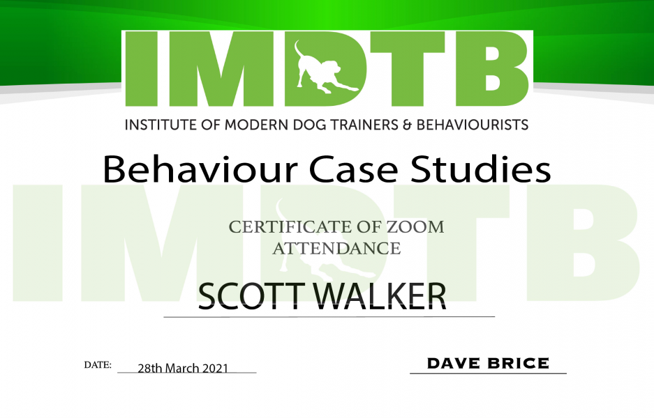 IMDTB - Behaviour Case Studies