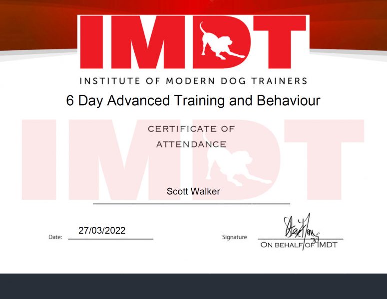 6 Day Advanced Training & Behaviour