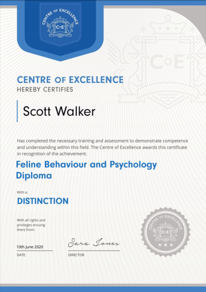 CoE - Feline Psychology & Behaviour Diploma