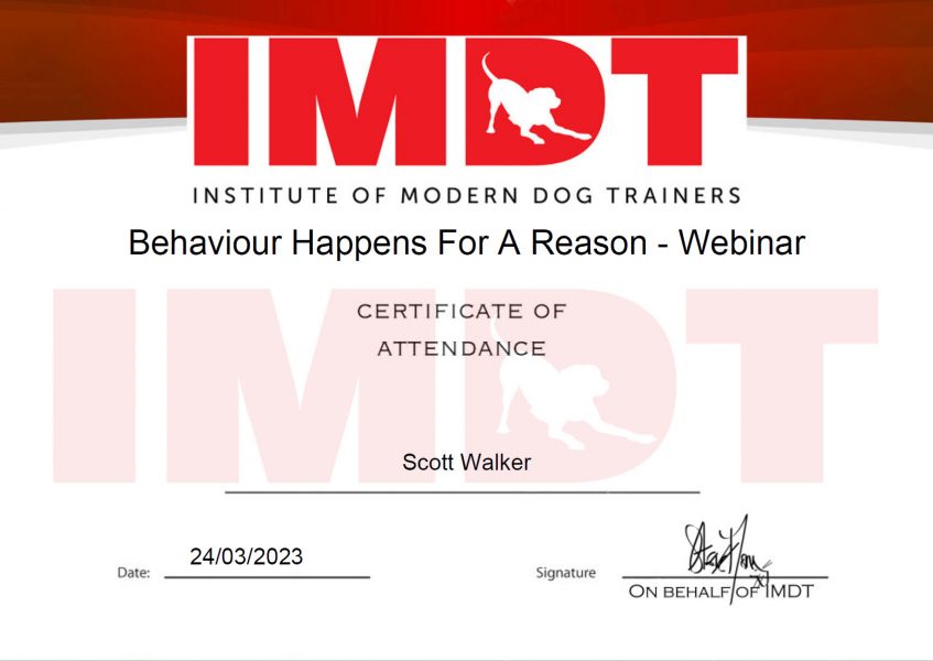 IMDT - Behaviour Happens for a Reason