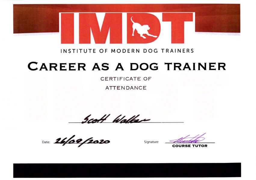 IMDT Career as a Dog Trainer