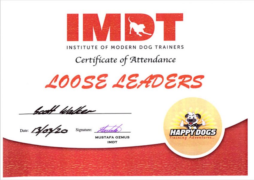 IMDT Loose Leaders
