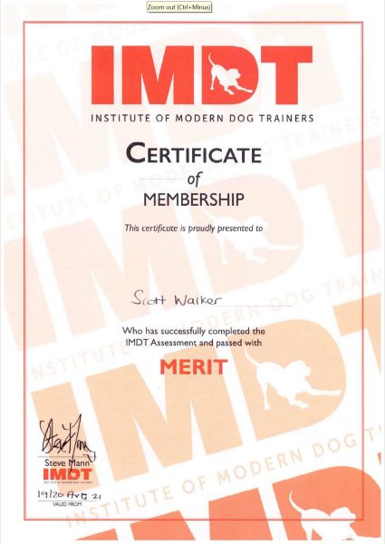 IMDT Membership Certficate 2021