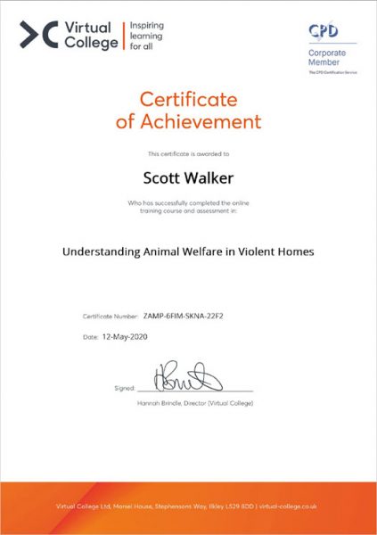 VC - Understanding Animal Welfare in Violent Homes